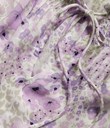 Thumbnail Blouse with smock | Lilac | Woman | Kappahl