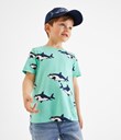Thumbnail Patterned t-shirt | Turquoise | Kids | Kappahl